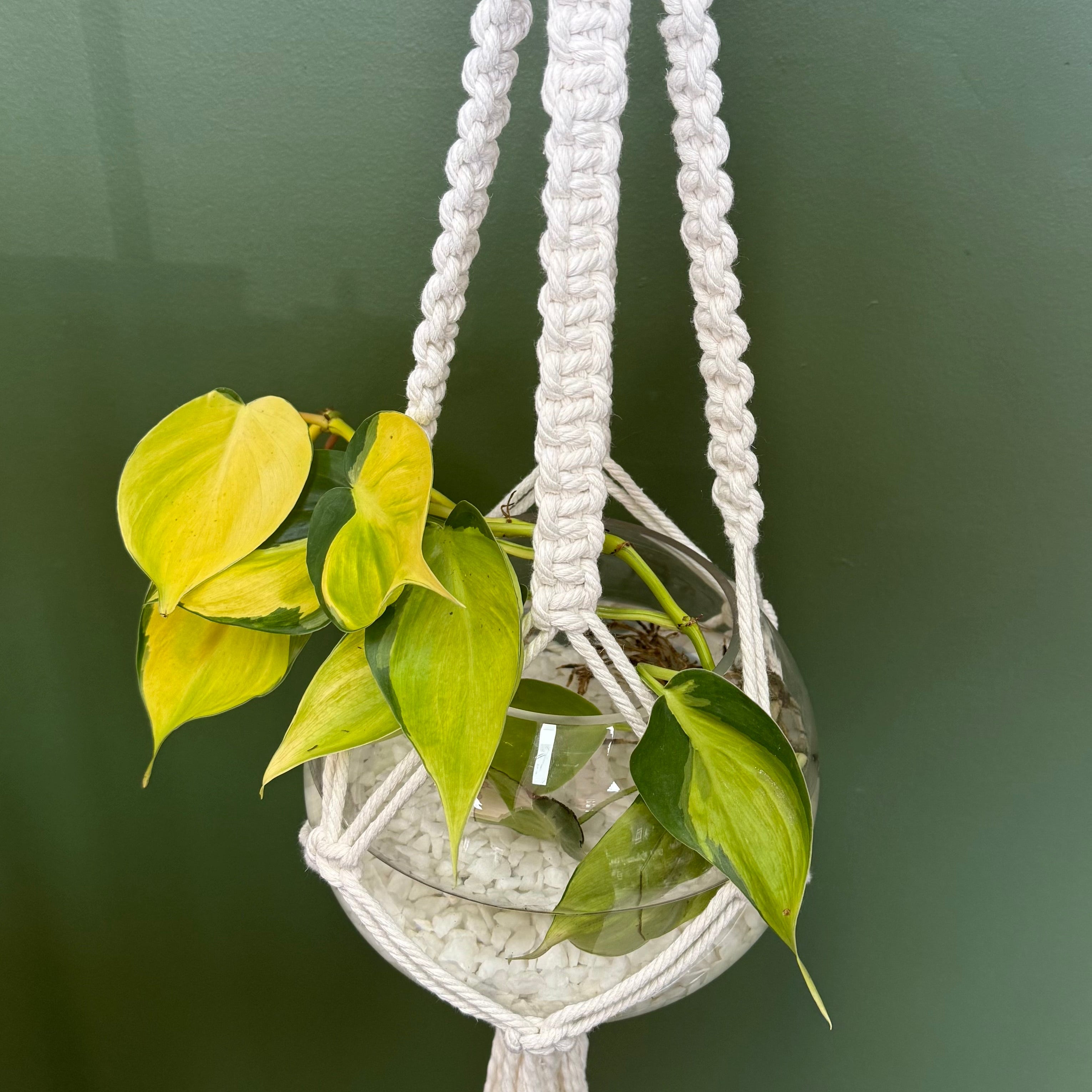 Create & Sip Macrame Workshop