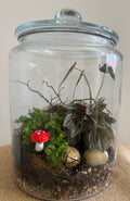 Create & Sip Terrarium Workshop