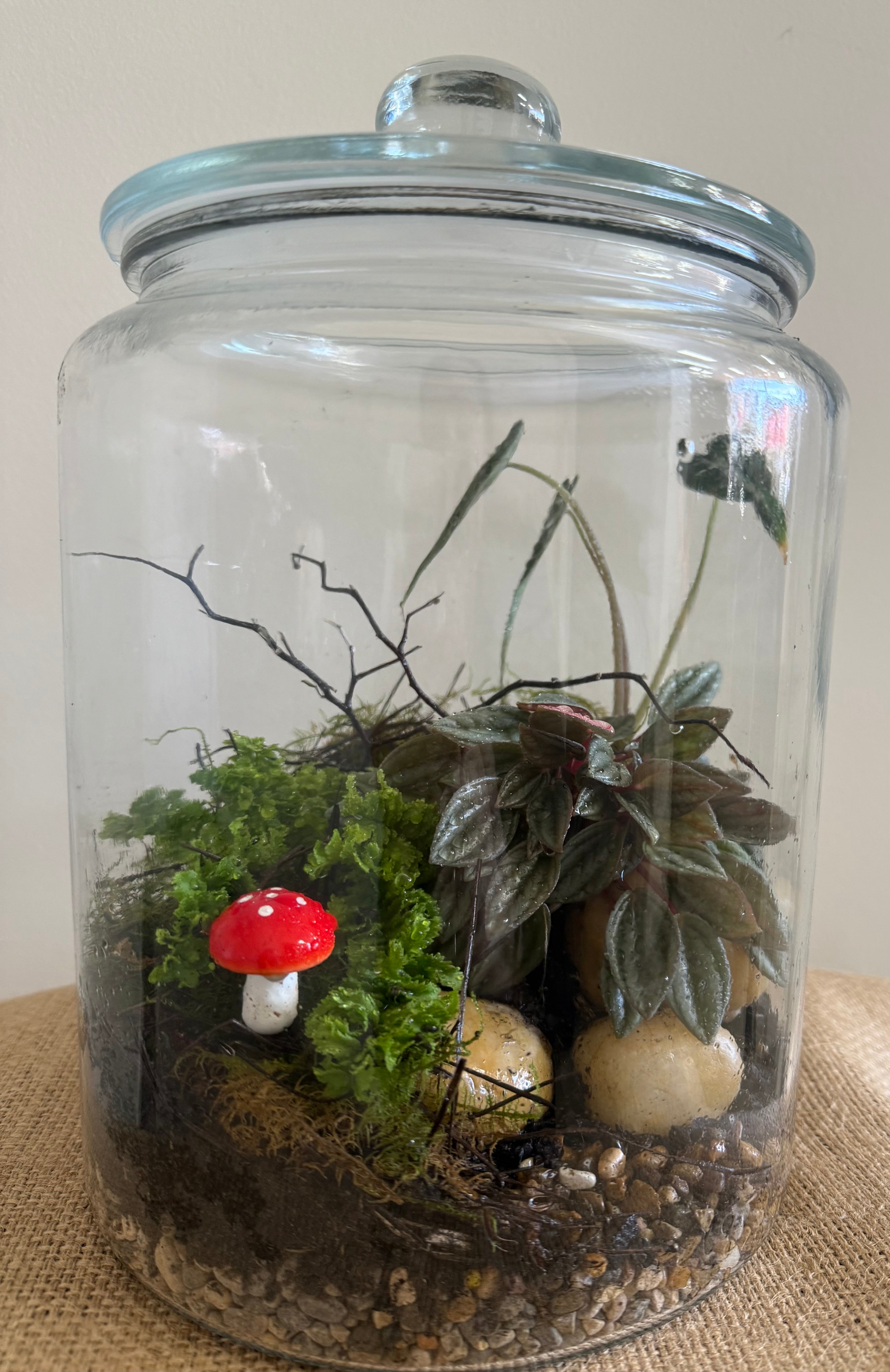 Create & Sip Terrarium Workshop